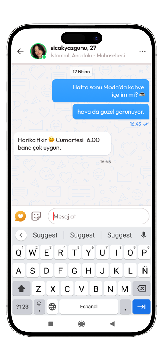 Siberalem profil akışı